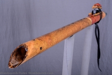 Red Mallee Burl Native American Flute, Minor, Low C#-4, #K15I (6)